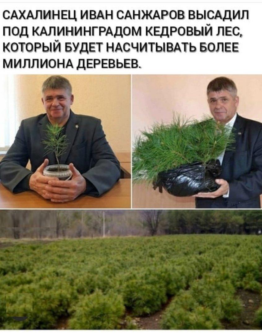 Увеличить Увеличить