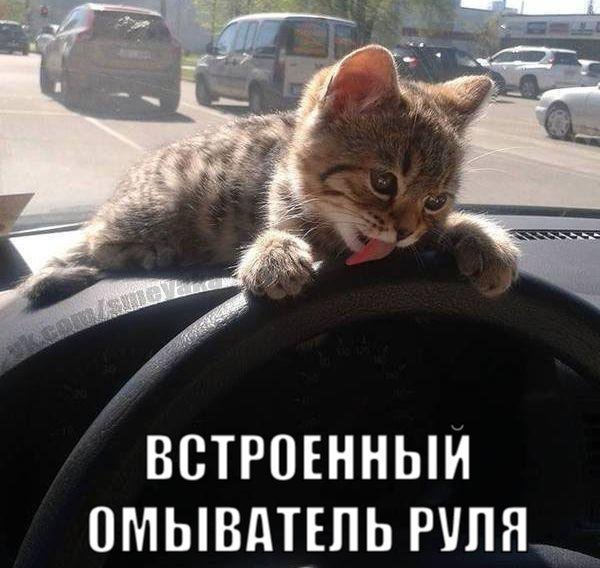 Увеличить Увеличить