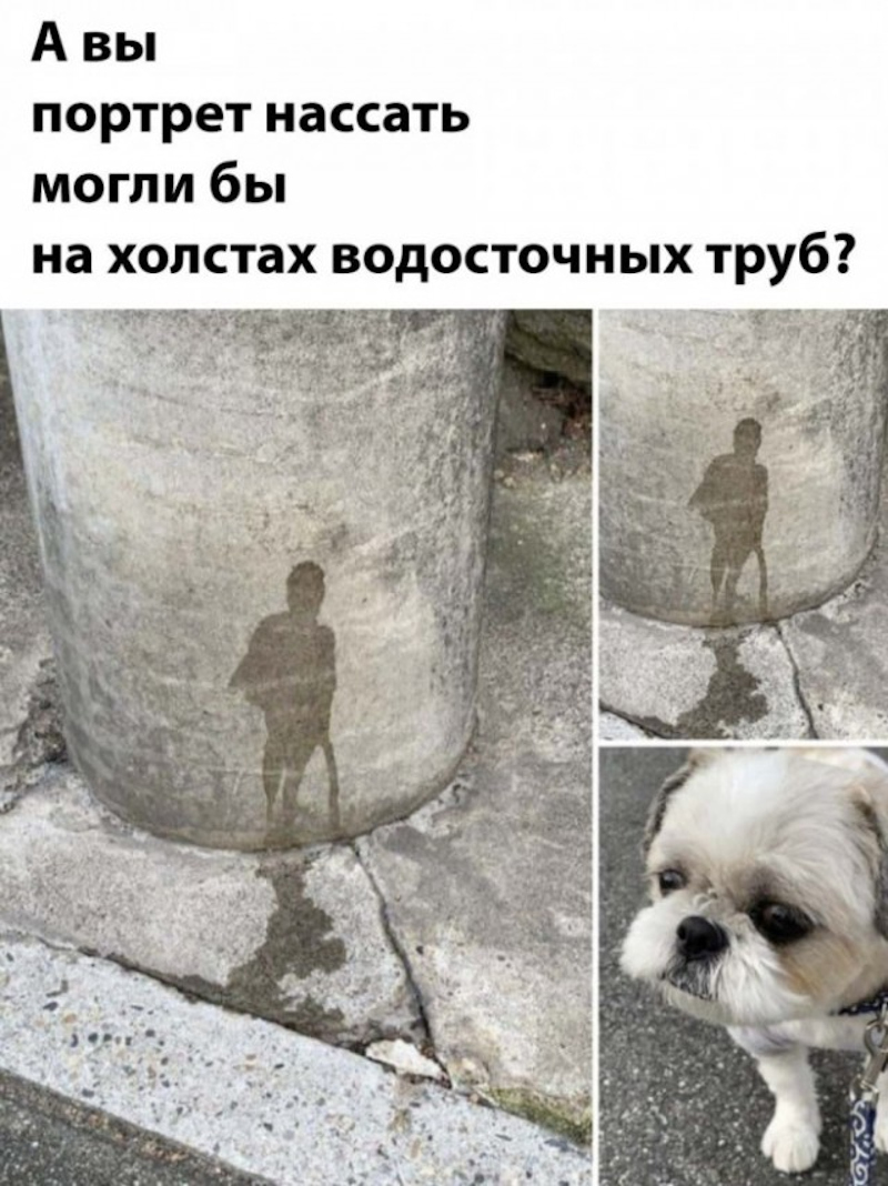 Увеличить Увеличить