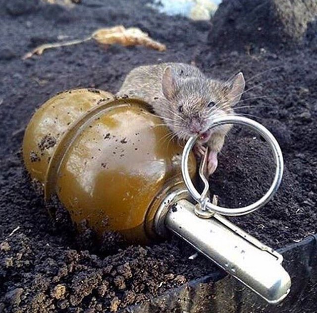 Увеличить Увеличить