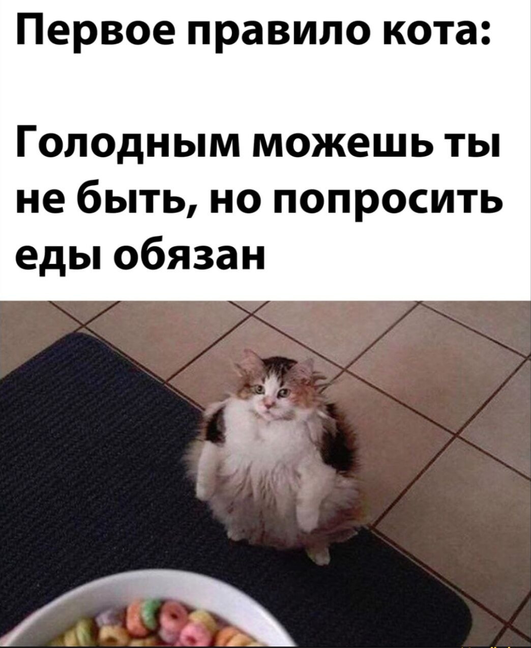 Увеличить Увеличить