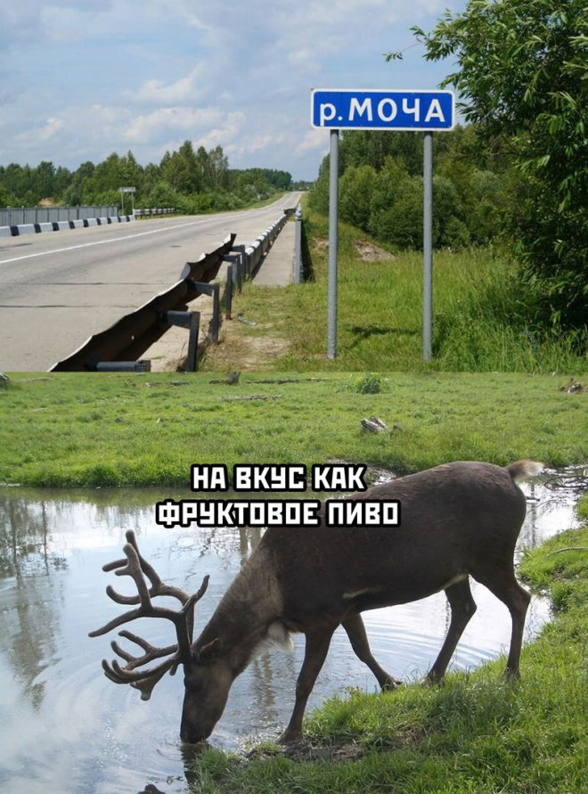 Увеличить Увеличить