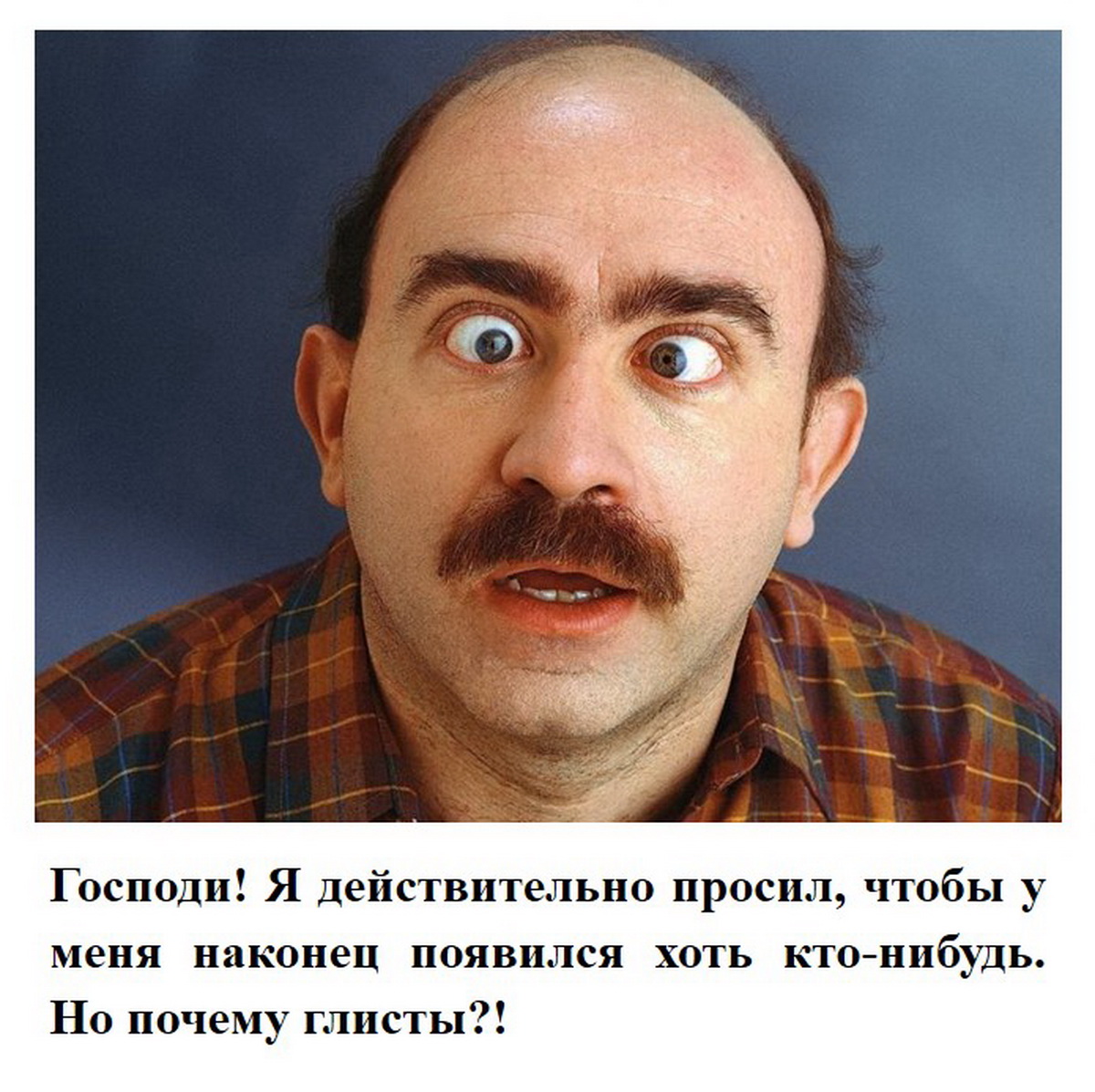 Увеличить Увеличить