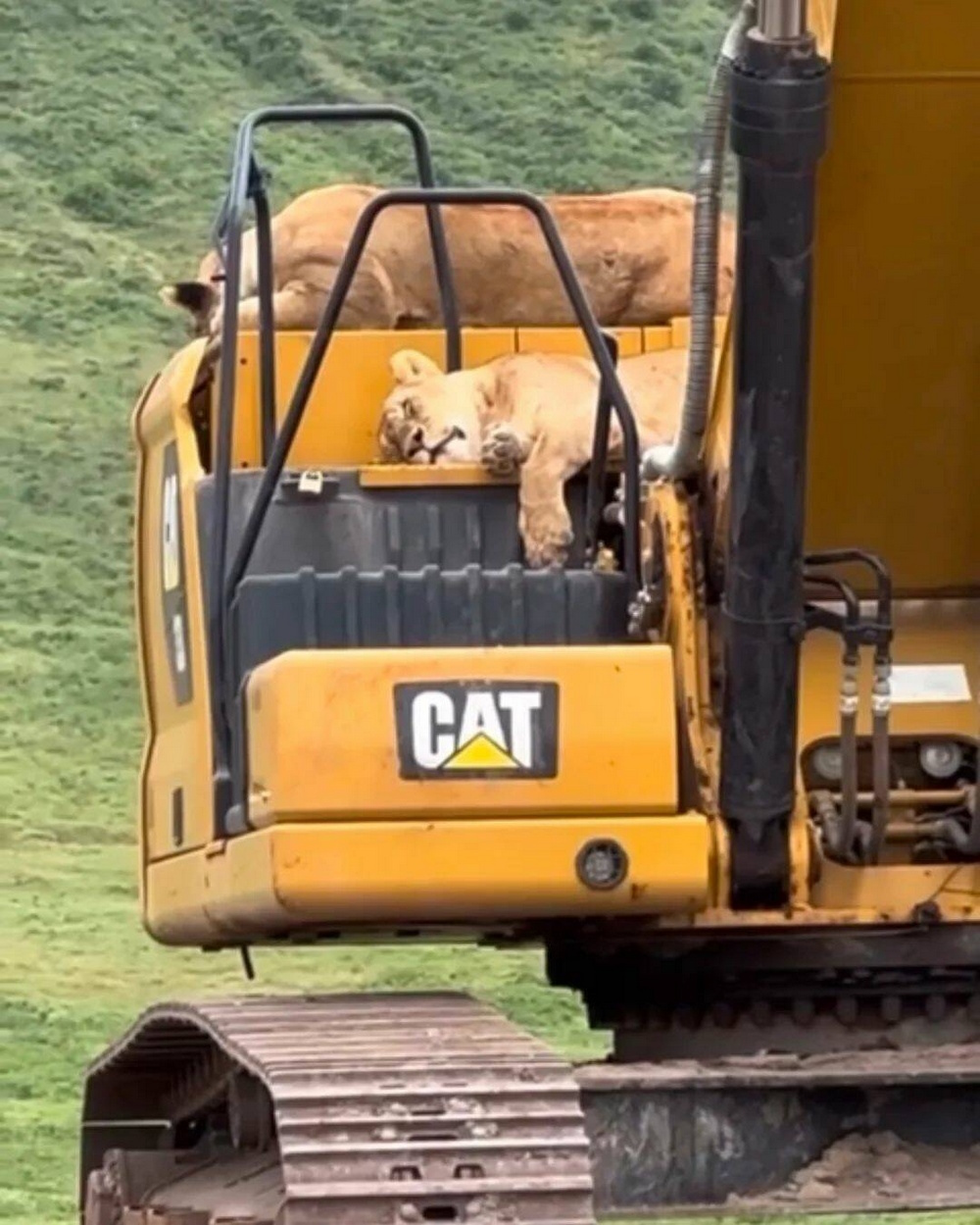 ,     