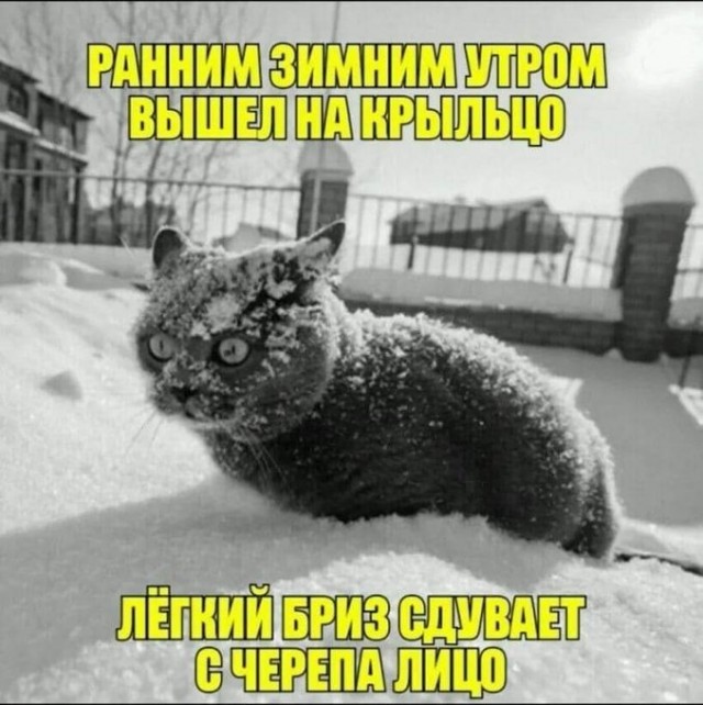 Кликните, чтобы посмотреть в полный размер Кликните, чтобы посмотреть в полный размер