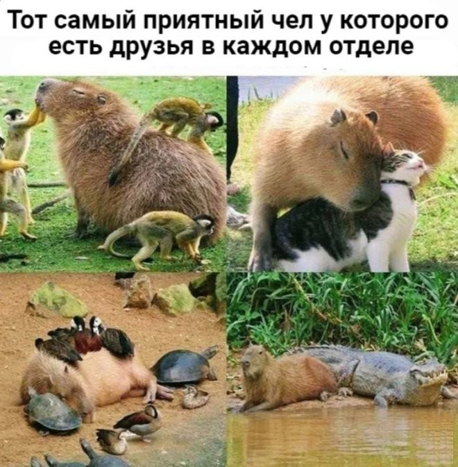 ,     
