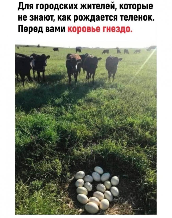 Кликните, чтобы посмотреть в полный размер Кликните, чтобы посмотреть в полный размер