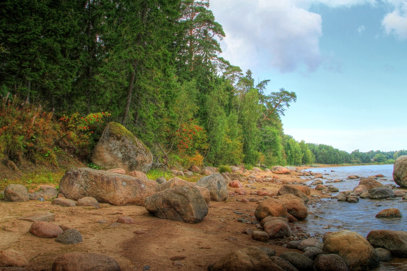 ����������