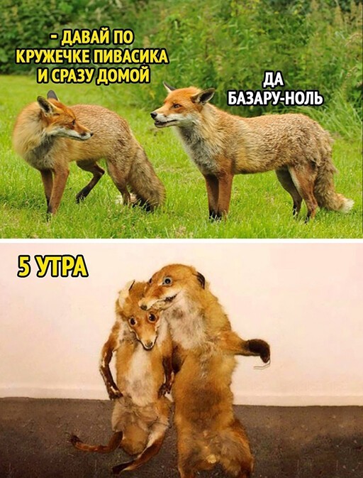 Кликните, чтобы посмотреть в полный размер Кликните, чтобы посмотреть в полный размер